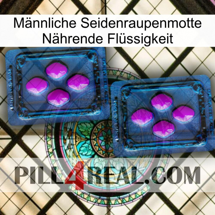 Männliche Seidenraupenmotte Nährende Flüssigkeit 03